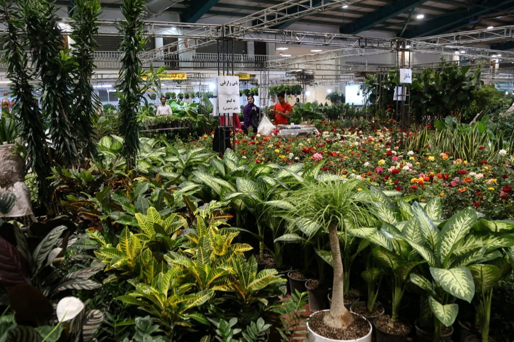 Flowers and medicinal plants