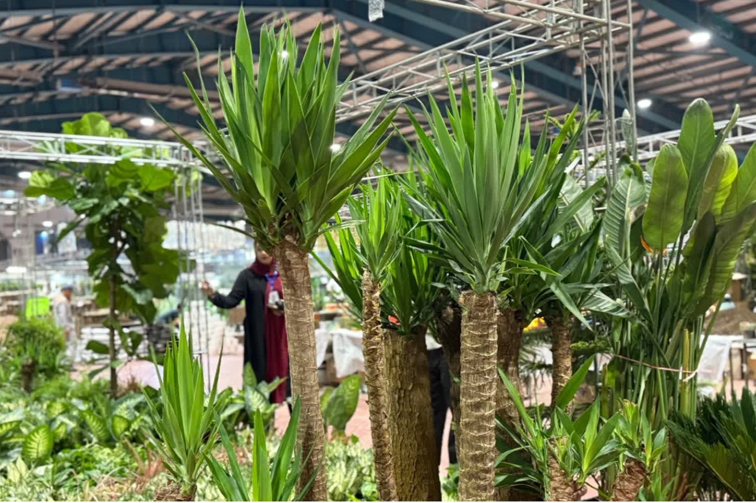  Reels Flower & Plant Exhibition 2026