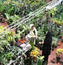 The eighth flower and plant exhibition will be held in Yazd