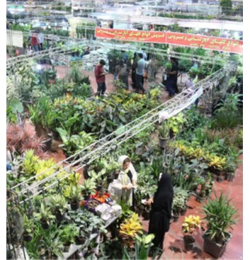هشتمین نمایشگاه گل و گیاه در یزد برگزار می گردد